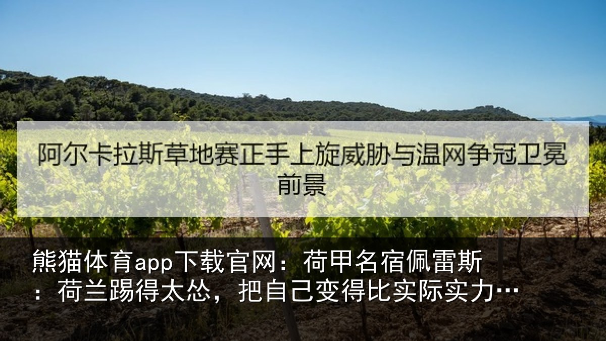 熊猫体育app下载官网：荷甲名宿佩雷斯：荷兰踢得太怂，把自己变得比实际实力更弱