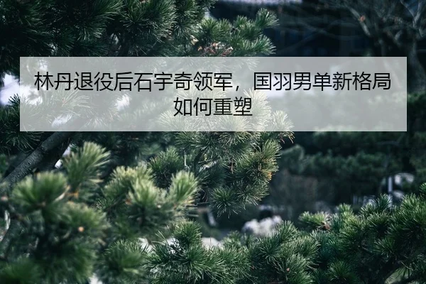 lin-dan-tui-yi-hou-shi-yu-qi-ling-jun-guo-yu-nan-dan-xin-ge-ju-ru-he-zhong-su-2-894.jpg