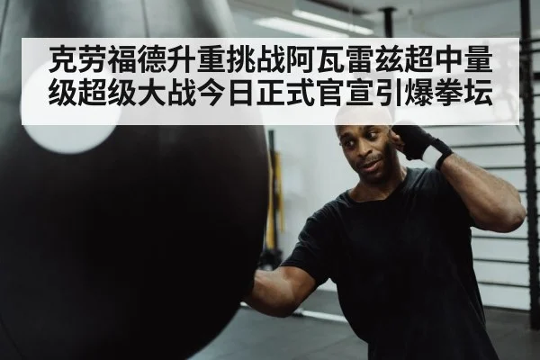 boxer punching heavy bag